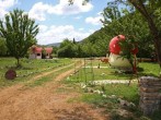 Pathways through site